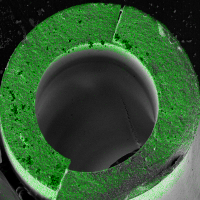 This image shows an elemental map collected with electron microscopy of a fractured cross-section of hybrid hollow fiber membrane with a radius of about 500 μm. Green dots signify locations of the metal oxide within the membrane. This image shows that metal oxide infuses throughout the entire membrane. Microscopy was done by Fengyi Zhang at Georgia Tech’s Materials Characterization Facility.