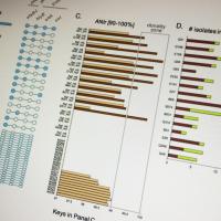 Using advanced metagenomics techniques, researchers have found that conventional culture- based lab tests may often misdiagnose the microbial causes of diarrheal diseases in children. The study, based on samples from Ecuadorian children, also found that a common strain of the E. coli bacterium may be more virulent than previously believed.