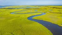 Vibrant 'Spartina alterniflora' salt marsh grass wraps the oxbow of a tidal waterway. (Credit: Bald Head Island Conservancy)