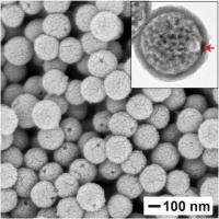 <p>This scanning electron microscopy image shows the nanocapsules once formed after the removal of the gold nanoparticles and polystyrene beads, leaving behind an opening that can be used to fill the capsules with a payload. (Credit: Jichuan Qiu)</p>