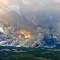 <p>Smoke rises from the wildfire burning across 150,000 acres of the Okefenokee Swamp in Georgia and Florida. (Credit: USFWS)</p>