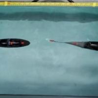 <div>
<p>Piezoelectric robot trout swims like a real fish</p>
</div>