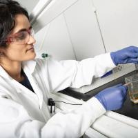 A researcher in lab coat, glasses, and gloves, positions electrodes above a small glass chamber. She's examining a small piece of stainless steel connected to one of the electrodes. (Photo: Candler Hobbs)