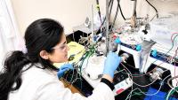 Anuja Tripathi works in the lab