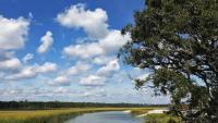A salt marsh waterway is lined by cord grasses, sand, and trees. The sunny cerulean sky is dotted with clouds.