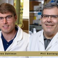 <p><strong>Phil Santangelo </strong>(pictured right), professor, and <strong>James Dahlman </strong>(pictured left) assistant professor, in the Wallace H. Coulter Department of Biomedical Engineering at Georgia Tech and Emory University.</p>