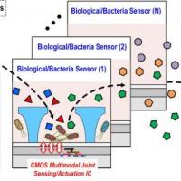 SemiSynBio-II: A Hybrid Programmable Nano-Bioelectronic System
