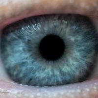 Researchers have developed a potential new treatment for the eye disease glaucoma that could replace daily eye drops and surgery with a twice-a-year injection to control the buildup of pressure in the eye. (Credit: Rob Felt, Georgia Tech)