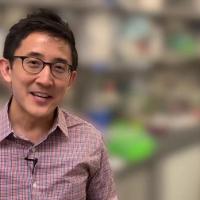 <p>Gabe Kwong's lab has developed biosensors that can quickly assess a cancer treatment.</p>