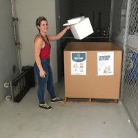Graduate student Hannah Viola using the Gaylord collection box in Krone EBB