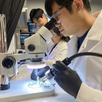 Researchers in Hong Yeo's lab work on the electronics of wearable biosensors