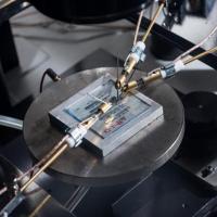 Frenkel Biexcitons Light Up Organic Semiconductor Advances