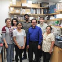 <p>Antiviral Peptide: Joshy Jacobs, PhD and his lab team</p>