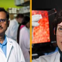 <p>Professors <strong>Krishnendu Roy</strong> and <strong>Johnna Temenoff</strong> have won Georgia Tech’s award for Outstanding Achievement in Research Program Development in 2020.</p>