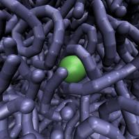 <p>Naturally occurring DNA is in constant motion, researchers hypothesize, and transports large transcription factors (depicted in green) through its tangles until they reach sites where they bind and carry out their activity. Here a still image from a very large, unique simulation.</p>
