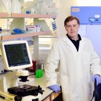 <p><strong>Denis Tsygankov</strong>, assistant professor in the Wallace H. Coulter Department of Biomedical Engineering at Georgia Tech and Emory University, has won a Faculty Early Career Development (CAREER) Award from the National Science Foundation.</p>