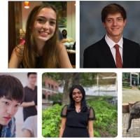 IPaT’s 2023 summer research interns