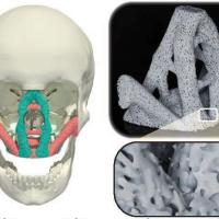 <p>The new materials could have applications for reconstructive surgery and other fields.</p>