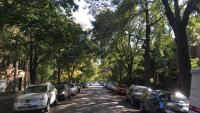 One point perspective shot of a suburban street with a healthy tree canopy cover. Eric Fischer, CC BY 2.0 &lt;https://creativecommons.org/licenses/by/2.0&gt;, via Wikimedia Commons