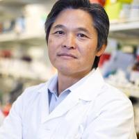Hanjoong Jo, professor in the Wallace H. Coulter Department of Biomedical Engineering at Georgia Tech and Emory, and a professor of medicine at Emory, has just added a new title with his appointment as the Wallace H. Coulter Distinguished Faculty Chair.