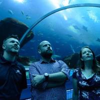 <p>Georgia Aquarium life support experts (like Matthew Regensburger, left) wanted to know which bacteria were removing nitrates from the water of Ocean Voyager, the largest indoor oceanic aquarium in the US. Georgia Tech marine biochemists (Andrew Burns, center, and Zoe Pratte, right) discovered very natural bacterial colonies at work.</p>