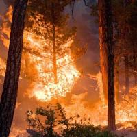 <p>Wildfires burn much more biomass per area than professional prescribed burns, and pollute at a much higher rate. Credit: Kari Greer/USFS Gila National Forest via NASA</p>