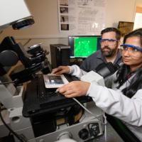 <p>Georgia Tech Associate Professor Matthew Torres and Doctoral Candidate Shilpa Choudhury are shown with images showing cells with a localized green fluorescent protein signal at the membrane. (Credit: Rob Felt, Georgia Tech)</p>