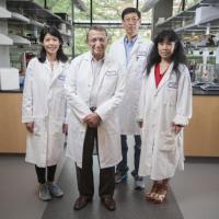 <p>Georgia Tech's Regents Professor Mostafa El-Sayed (front) is one of the most highly decorated and cited living chemists. With his team for this research from left to right: Yue Wu, Professor Ronghu Wu, and Yan Tang. Credit: Georgia Tech / Christopher Moore</p>