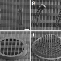 <p>Structures in a new architected material change shape when a very low current is applied. Left is before current is applied, right is after. Credit: CalTech</p>