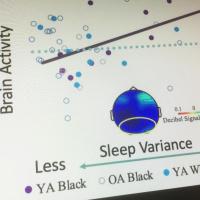 <p>A new study has found that variability in night-to-night sleep time and reduced sleep quality adversely affect the ability of older adults to recall information about past events.</p>