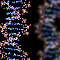 <p>An artist's depiction of a section of DNA.  (Not licensed for third parties. For usage rights, please contact: istock/Getty Images)</p>