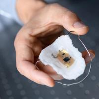 <p>The intraoral electronics with a sodium sensor is based on a breathable elastomeric membrane that resembles a dental retainer. The ultrathin device is flexible and stretchable, and can wirelessly transmit data up to 10 meters. (Credit: Rob Felt, Georgia Tech).</p>