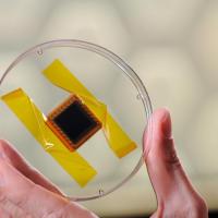 <p>Photo shows a solar cell produced for space testing of new types of photovoltaic cell materials aboard the International Space Station. (Credit: Gary Meek, Georgia Tech)</p>