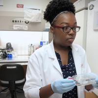 <p>Yasmine Stewart, a biology major from Savannah State University, worked in the laboratory of Lohitash Karumbaiah, assistant professor in the College of Agricultural &amp; and Environmental Sciences at the University of Georgia. (Credit: Brice Zimmerman, Georgia Tech)</p>