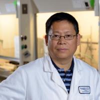 <p>Researchers led by Younan Xia, professor in the Wallace H. Coulter Department of Biomedical Engineering at Georgia Tech and Emory University, have studied the kinetics of autocatalytic reactions used to make colloidal metal nanocrystals suitable for catalytic, biomedical, photonic, electronic and other uses. (Credit: Rob Felt, Georgia Tech).</p>