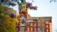 Flowers in front of Georgia Tech's Tech Tower