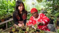 Two people work with potted plants in a greenhouse filled with hanging and tabletop greenery during a gardening activity.