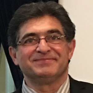Hamid Garmestani